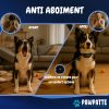B0DT9F213L.PT02 PAWPATTE Collier Anti Aboiement 2en1 Chien avec Télécommande – Dressage et Rappel Sans Choc, Son & Vibration, Détection Intelligente des Aboiements, Rechargeable, Étanche IP67, 3 Chiens, Petit à Grand