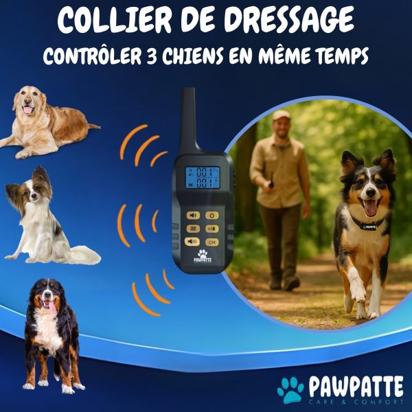 B0DT9F213L.PT03 PAWPATTE Collier Anti Aboiement 2en1 Chien avec Télécommande – Dressage et Rappel Sans Choc, Son & Vibration, Détection Intelligente des Aboiements, Rechargeable, Étanche IP67, 3 Chiens, Petit à Grand