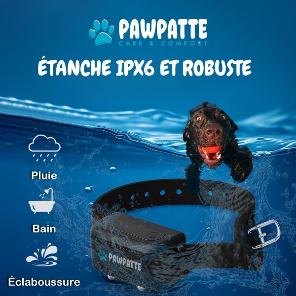 B0DT9F213L.PT04 PAWPATTE Collier Anti Aboiement 2en1 Chien avec Télécommande – Dressage et Rappel Sans Choc, Son & Vibration, Détection Intelligente des Aboiements, Rechargeable, Étanche IP67, 3 Chiens, Petit à Grand